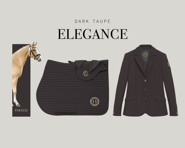 Come personalizzare la palette colori per te e il tuo cavallo